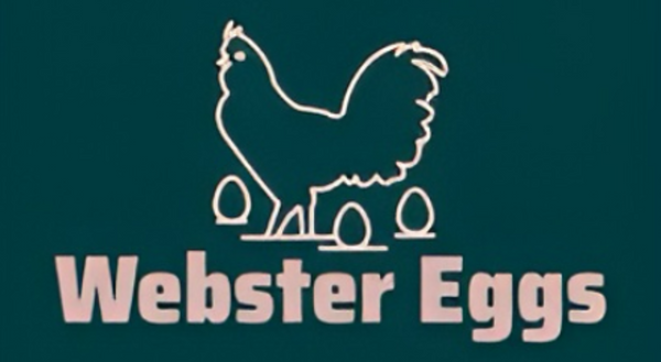 Webster Eggs